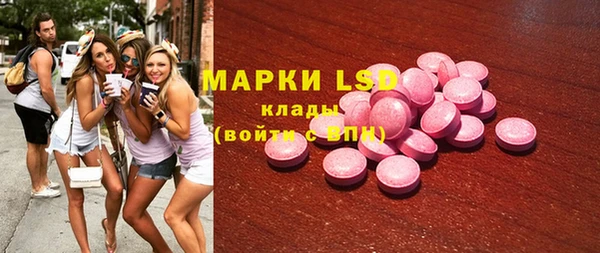 винт Алзамай