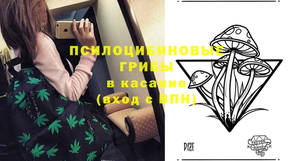 а пвп мука Алексеевка