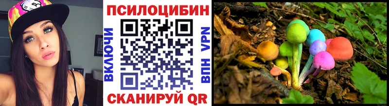 Галлюциногенные грибы прущие грибы  цены наркотик  Канаш 